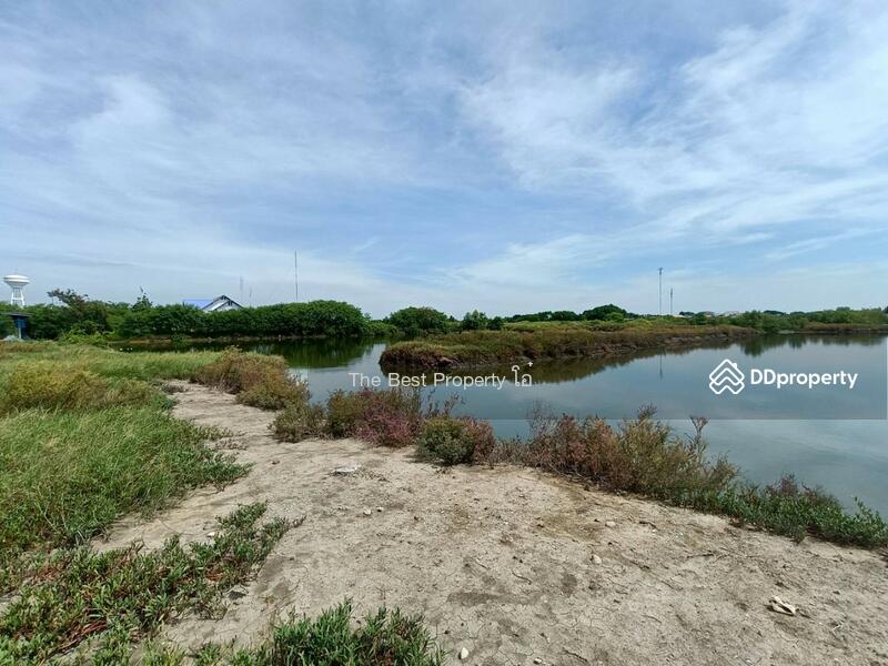 For Sale - ที่ดินบางแก้ว สมุทรสงคราม, Samut Songkhram