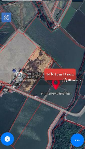 For Sale - ที่ดินบางแก้ว สมุทรสงคราม, Samut Songkhram