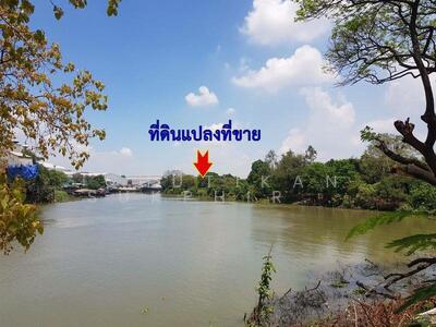 ขาย - ขายที่ดินเปล่า ในเกาะ ติดแม่น้ำ ตำบลปากจั่น อำเภอนครหลวง จังหวัดพระนครศรีอยุธยา, พระนครศรีอยุธยา
