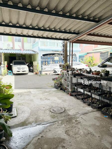 For Sale - Family Park Sukprayoon, Chon Buri