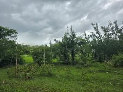 ขาย - ขายที่ดินเปล่า ต.อ่าวน้อย อ.เมืองประจวบคีรีขันธ์ จ.ประจวบคีรีขันธ์, ประจวบคีรีขันธ์