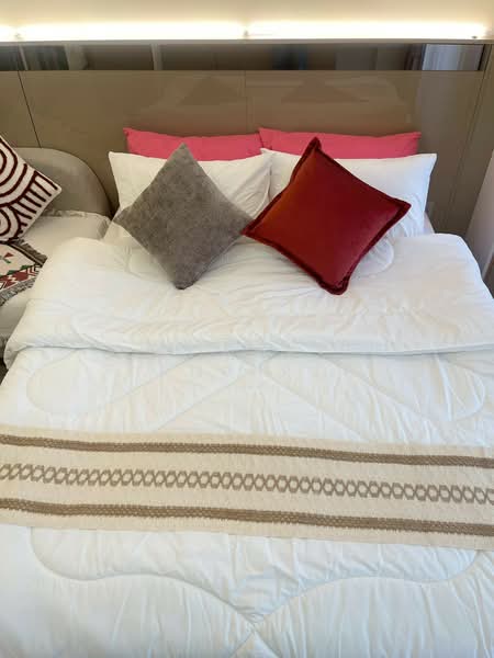 Oneder Kaset Condo, Bangkok, 99 Ngamwongwan Road, Lat Yao, Chatuchak, Bangkok, Studio, 22 sqm, Condo For Sale, by Connex Property, 60143679 - DDproperty.com