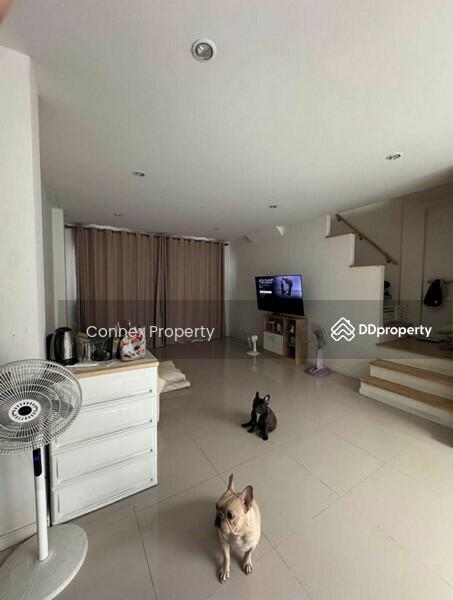 ขาย - โนโว วิลล์ พุทธสาคร Novo Ville Puttasakor, สมุทรสาคร