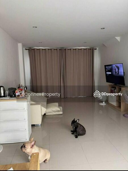 ขาย - โนโว วิลล์ พุทธสาคร Novo Ville Puttasakor, สมุทรสาคร