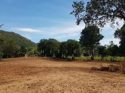 ขาย - ต.พญาเย็น อ.ปากช่อง จ.นครราชสีมา, นครราชสีมา