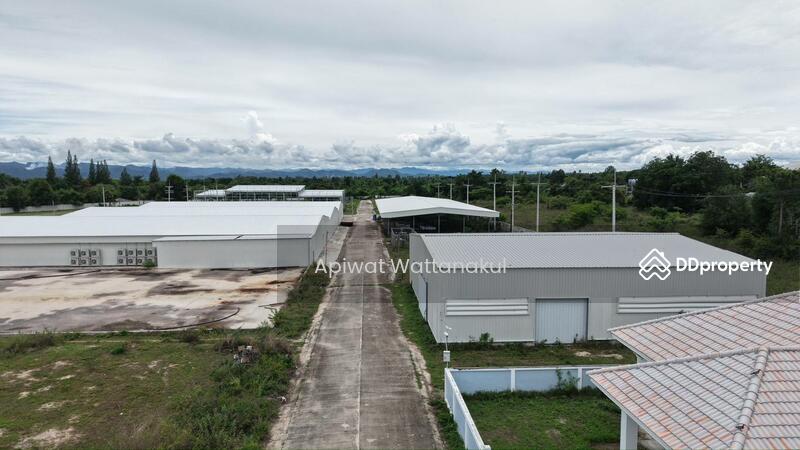 For Sale - Cannabis Indoor Grow Operation, Phetchaburi