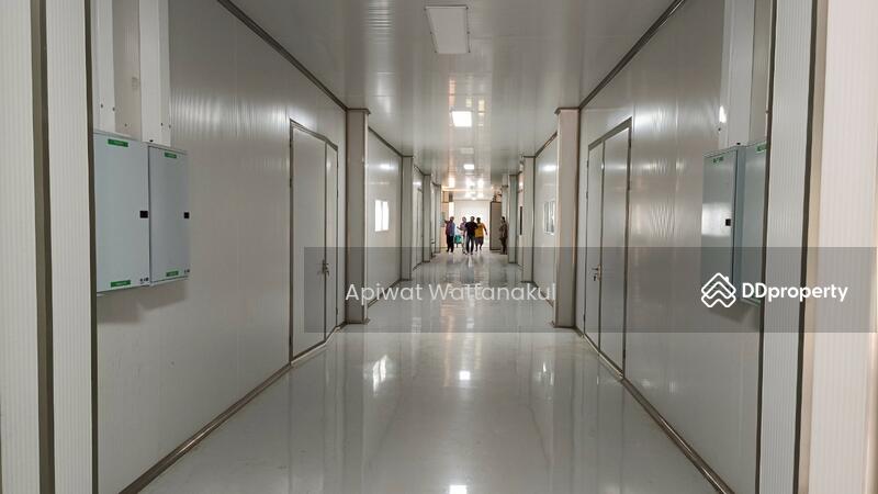 For Sale - Cannabis Indoor Grow Operation, Phetchaburi
