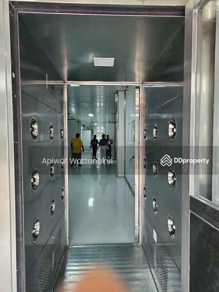 For Sale - Cannabis Indoor Grow Operation, Phetchaburi