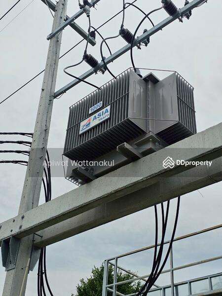 For Sale - Cannabis Indoor Grow Operation, Phetchaburi