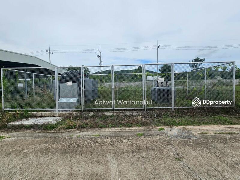 For Sale - Cannabis Indoor Grow Operation, Phetchaburi