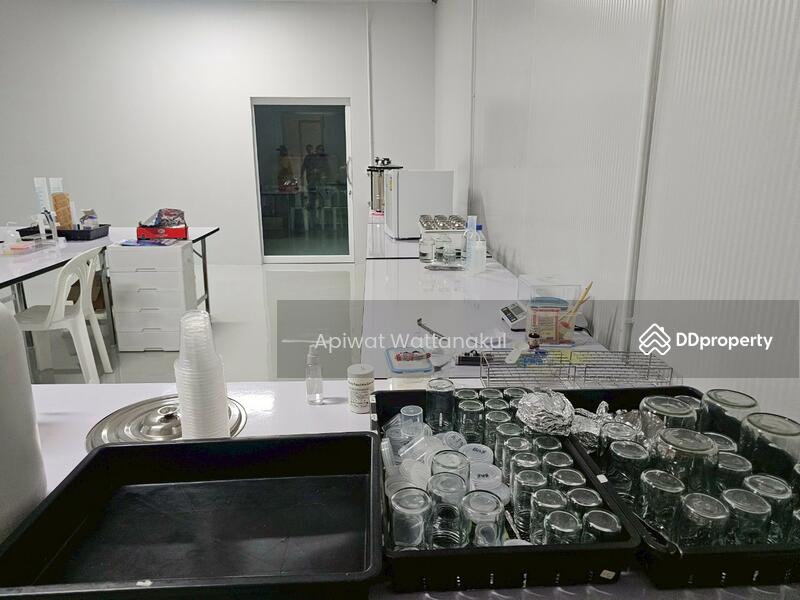For Sale - Cannabis Indoor Grow Operation, Phetchaburi