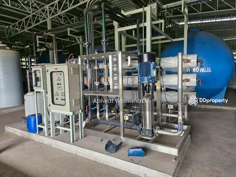 For Sale - Cannabis Indoor Grow Operation, Phetchaburi