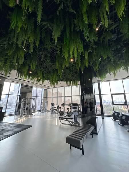 IDEO Sukhumvit Rama 4, Bangkok, Soi Sukhumvit 44, Sukhumvit Road, Phra Kanong, Khlong Toei, Bangkok, 2 Bedrooms, 45 sqm, Condo For Sale, by Connex Property, 60143957 - DDproperty.com