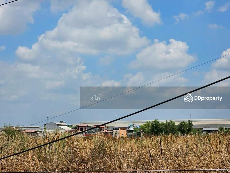 ขาย - ขายที่ดิน สวย ถนนเลียบมอเตอร์เวย์ 798 ตร.ว. ต.พยอม อ.วังน้อย อยุธยา, พระนครศรีอยุธยา