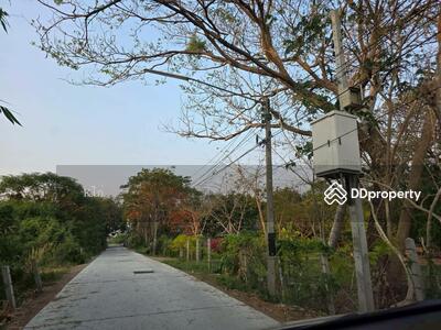 ขาย - ขายที่ดิน กลางเมือง 120 ตร.ว. ต.เขาสามยอด อ.เมือง ลพบุรี, ลพบุรี
