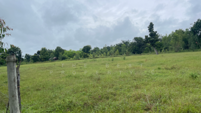 ขาย - ที่ดินนายม อำนาจเจริญ, อำนาจเจริญ