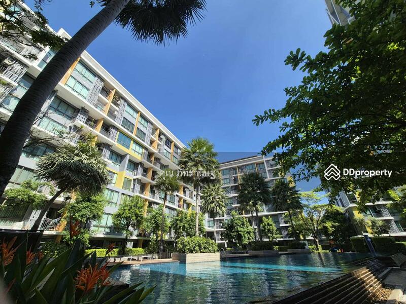 ให้เช่า - iCondo Sukhumvit 103 : ไอคอนโด สุขุมวิท 103, กรุงเทพ