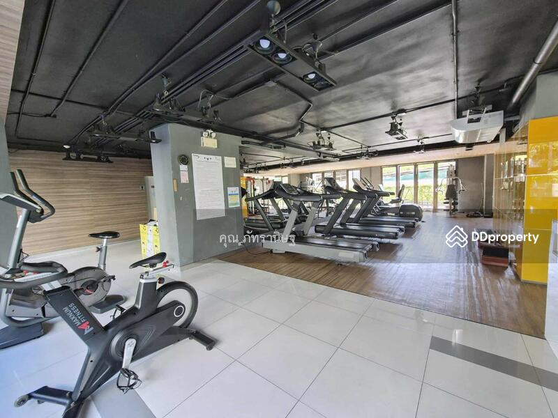 ให้เช่า - iCondo Sukhumvit 103 : ไอคอนโด สุขุมวิท 103, กรุงเทพ