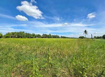 ขาย - ที่ดินลาดกระบัง กรุงเทพมหานคร, กรุงเทพ