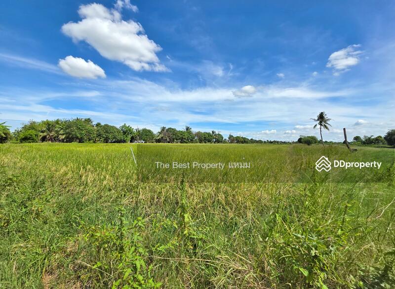 ขาย - ที่ดินลาดกระบัง กรุงเทพมหานคร, กรุงเทพ
