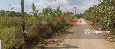 ขาย - ขายด่วน ที่ดิน คลอง 7 ซอยสถานีพัฒนาที่ดินปทุมธานี รังสิต - นครนายก ขนาด 1 ไร่ ขายต่ำกว่าราคาประเมิน, ปทุมธานี