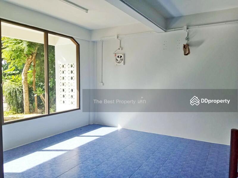 ขาย - โกดังพร้อมที่ดินวังไผ่ ชุมพร, ชุมพร