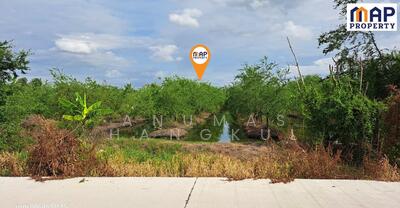 ขาย - ที่ดินใกล้คลองตาขำ, สมุทรสาคร
