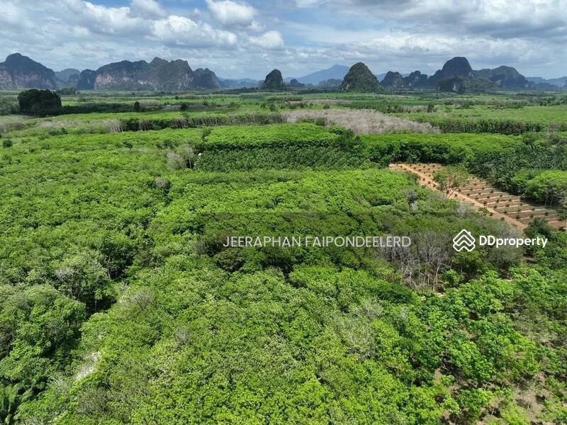 For Sale - Beautiful Land for Sale in Nong Thale, Krabi – Near Crystal Canal & Ao Nang Beach, Krabi