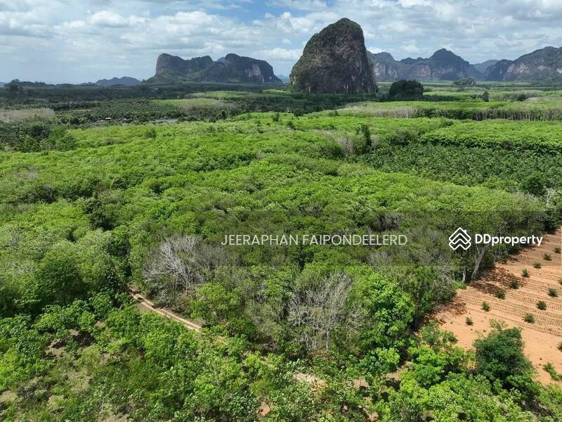 For Sale - Beautiful Land for Sale in Nong Thale, Krabi – Near Crystal Canal & Ao Nang Beach, Krabi