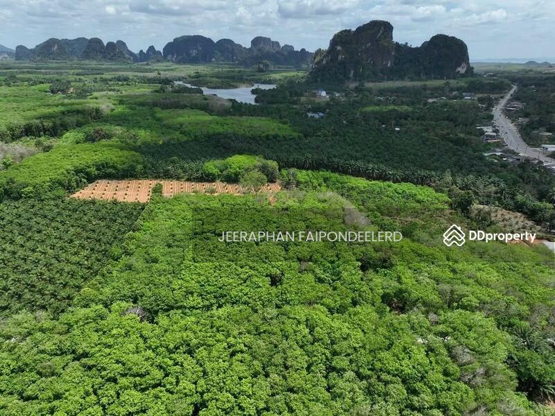 For Sale - Beautiful Land for Sale in Nong Thale, Krabi – Near Crystal Canal & Ao Nang Beach, Krabi