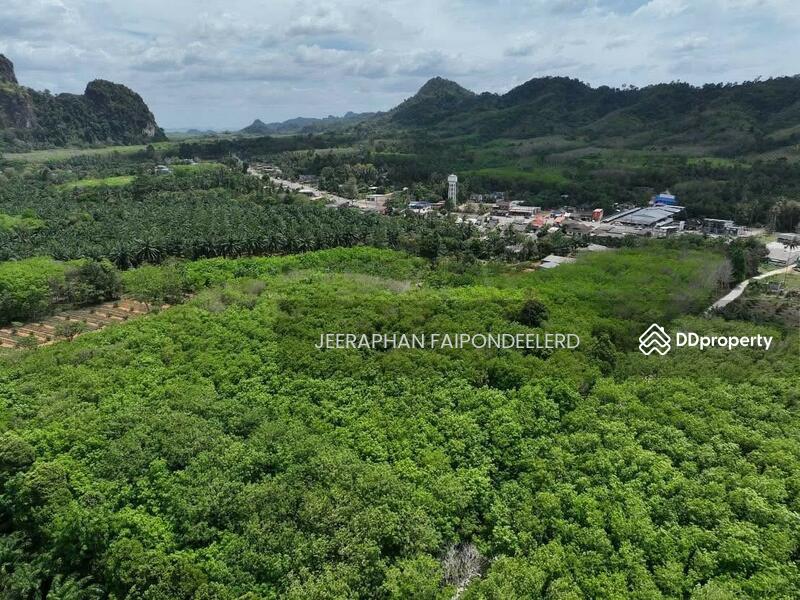 For Sale - Beautiful Land for Sale in Nong Thale, Krabi – Near Crystal Canal & Ao Nang Beach, Krabi