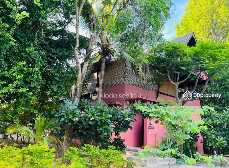 ให้เช่า - 2-Br House (1860252), ประจวบคีรีขันธ์