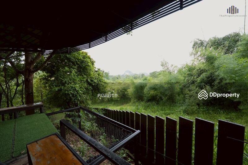 ขาย - ขายบ้านสวน 3 ไร่ พื้นที่ติดเขา ชะอม เเก่งคอย สระบุรี สูดอากาศดีได้ทุกเช้า จะใช้พักผ่อนเลี้ยงไก่, สระบุรี
