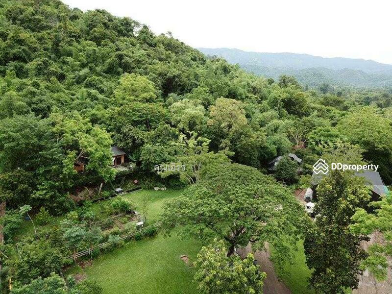 ขาย - ขายบ้านสวน 3 ไร่ พื้นที่ติดเขา ชะอม เเก่งคอย สระบุรี สูดอากาศดีได้ทุกเช้า จะใช้พักผ่อนเลี้ยงไก่, สระบุรี