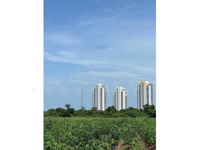 ขาย - ขายที่ดินศรีราชา บางพระ แปลงสวย วิวเขาล้อมรอบ, ชลบุรี