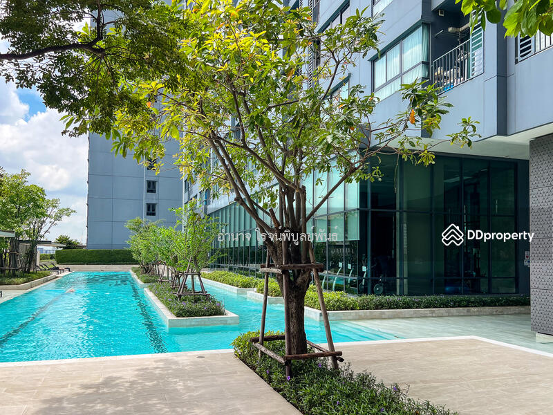 สระว่ายน้ำขนาดใหญ่ พร้อมวิวโล่ง โครงการ IDEO Sukhumvit 93 สุขุมวิท 93