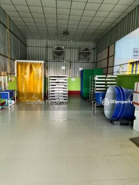 For Sale - โรงงานทีเอ็นซ์เคฟู๊ด factory TNK food, Nakhon Pathom