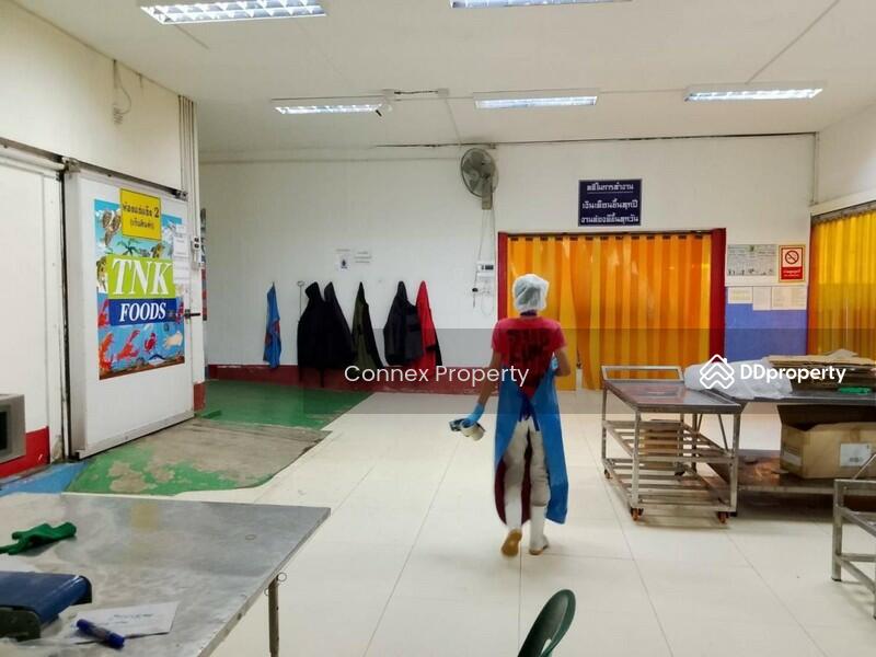 For Sale - โรงงานทีเอ็นซ์เคฟู๊ด factory TNK food, Nakhon Pathom
