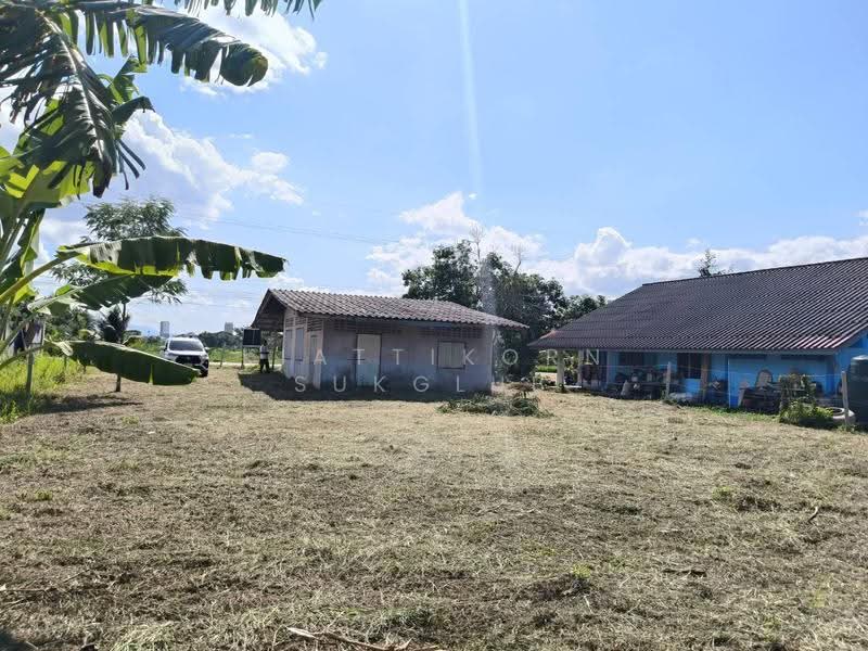 ที่ดินพร้อมบ้าน, นครศรีธรรมราช, -, ปากนคร, เมืองนครศรีธรรมราช, นครศรีธรรมราช, 748 ตร.ม., Land ขาย, โดย KIATTIKORN SUKGLUB, 60145245 - DDproperty.com