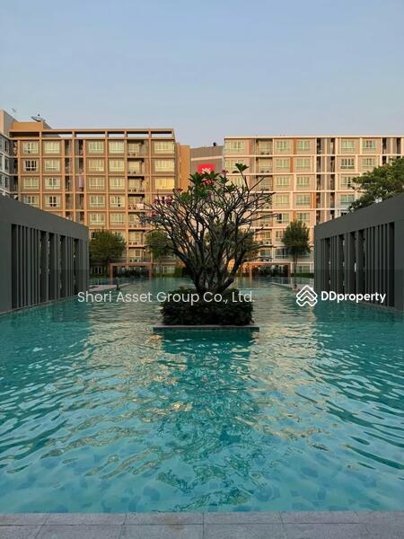 For Rent - Dcondo Sign, Chiang Mai