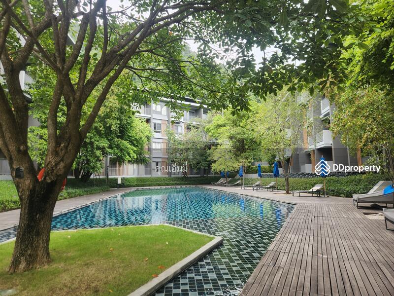 For Sale - 23 องศา เขาใหญ่, Nakhon Ratchasima