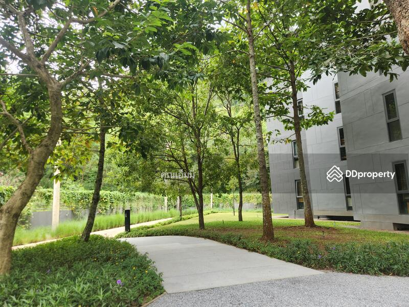 For Sale - 23 องศา เขาใหญ่, Nakhon Ratchasima