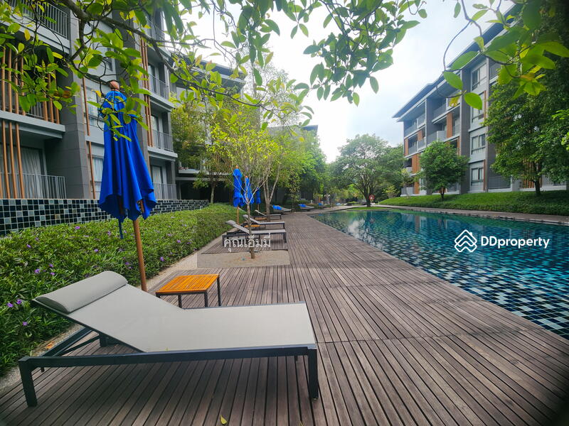 For Sale - 23 องศา เขาใหญ่, Nakhon Ratchasima
