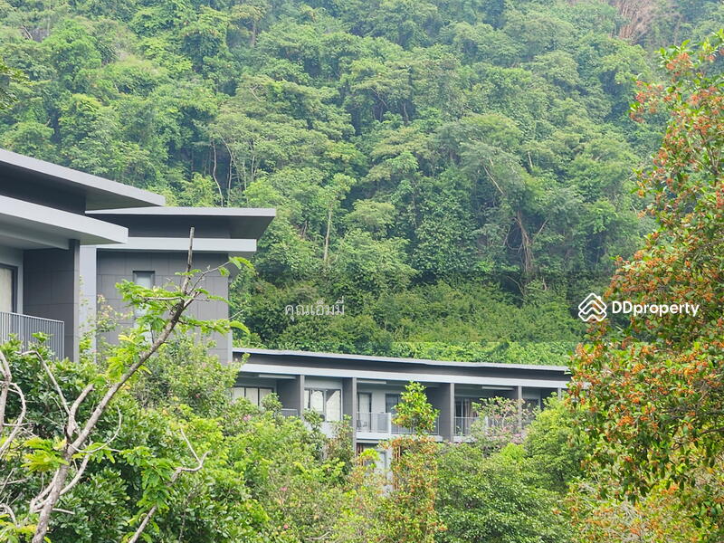For Sale - 23 องศา เขาใหญ่, Nakhon Ratchasima