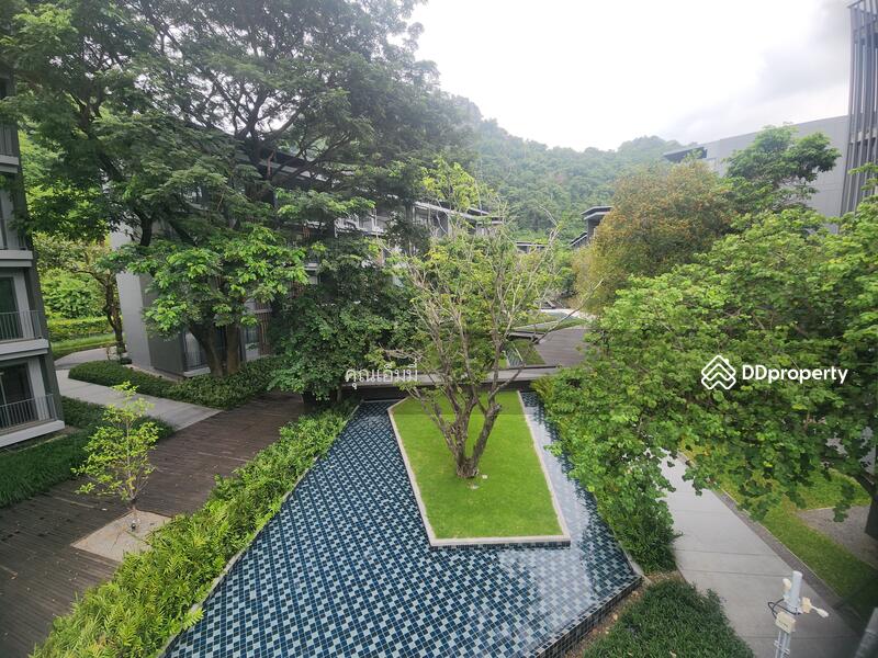 For Sale - 23 องศา เขาใหญ่, Nakhon Ratchasima