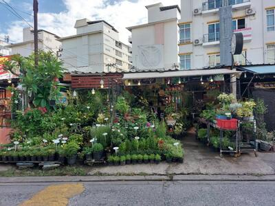 ขาย - อาคารพาณิชย์พร้อมห้องเช่าแสนสุข ชลบุรี, ชลบุรี