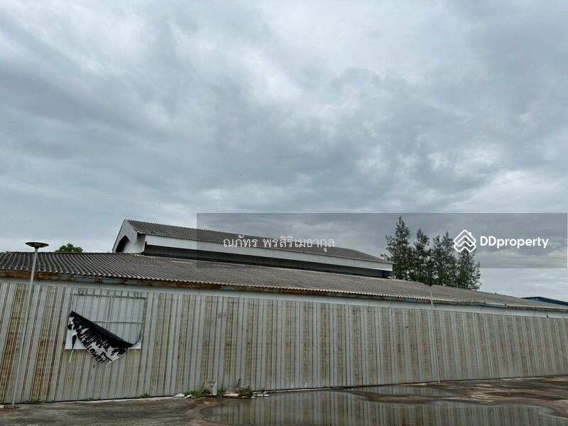 For Rent - Warehouse for rent, 2,000 sq m, Phetchaburi, on Phetkasem Road (TW8-03725), Phetchaburi