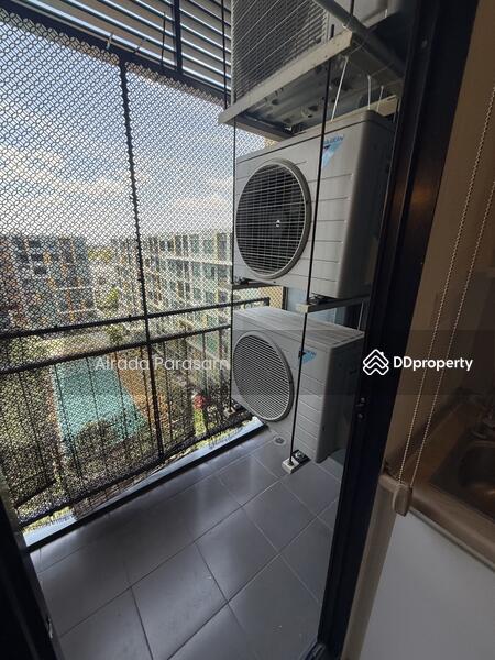 ให้เช่า - iCondo Green Space Sukhumvit 77 : ไอ คอนโด กรีนสเปซ สุขุมวิท 77, กรุงเทพ