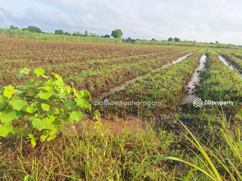 ขาย - 41110, อุดรธานี