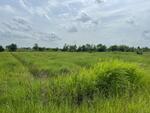 ที่ดินองครักษ์ นครนายก, นครนายก